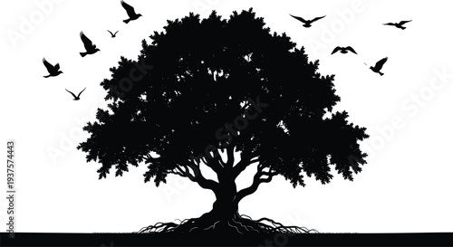 Large oak tree silhouette with flying birds isolated on white background nature landscape illustration majestic woodland graphic for environmental and seasonal design