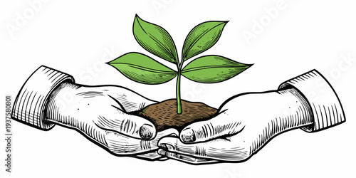 Hands cradling a small seedling growing from fertile soil