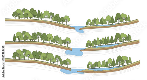 River erosion process, cross-section view of riverbank cutting and widening over time