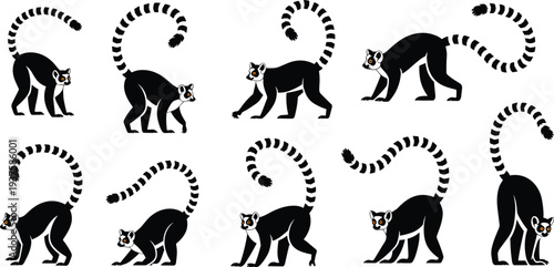 Ring tailed lemur silhouette set, multiple poses of Madagascar primate, wildlife animal vector illustration, exotic mammal collection isolated on white background