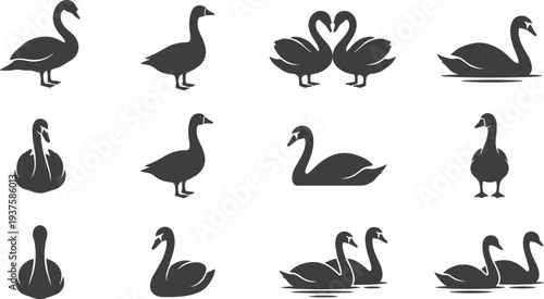 Elegant collection of twelve swan and goose silhouettes in various poses, including swimming pairs, standing birds, and romantic heart-shaped neck design for decorative vector art.