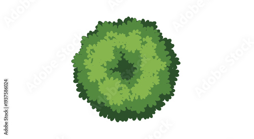 Top View Of Lush Green Tree Canopy, Isolated On White Background, Nature Element