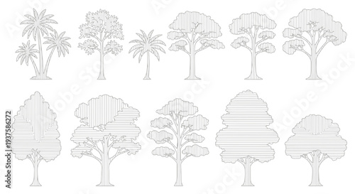 Set of stylized line art trees, palm trees, and deciduous trees, isolated on white background.