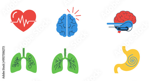 Medical Icons: Heartbeat, Brain, Lungs, Stomach, Brain Scan