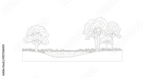 Cross-section of a pond with trees and grass, line art illustration