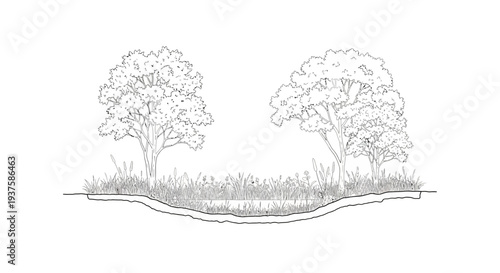 Pond ecosystem with trees and grass, cross-section view, natural landscape illustration