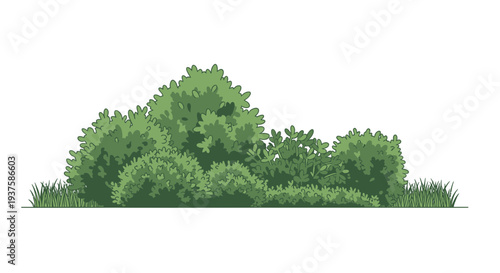 Lush Green Bushy Shrubs and Grasses Landscape Illustration