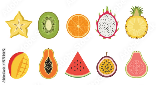 Ten sliced tropical fruits arranged in two horizontal rows on a white background