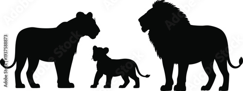 Silhouette of a lion family with a cub on a white background Keywords: lion, lions, family, cub, cubs, male lion, female lion