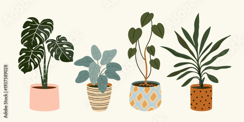 Stylized illustration of various potted houseplants with different leaf shapes