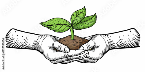 Hands gently cradling a small seedling growing from fertile soil
