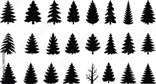 Collection of Diverse Black Silhouette Pine Tree Icons and Illustrations Keywords: pine tree, fir tree, evergreen, conifer