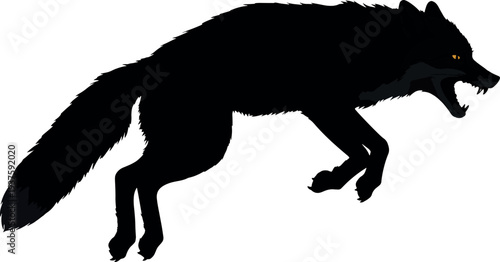 Aggressive Black Wolf Running with Bared Teeth in White Background