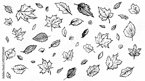 Hand Drawn Sketch Collection of Various Autumn Leaves Falling.