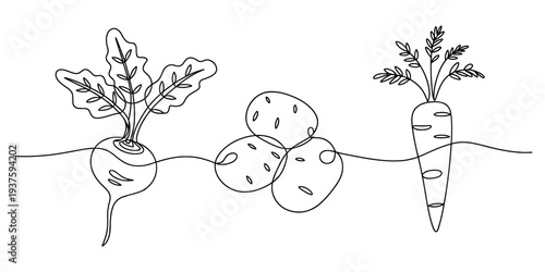 Vegetables growing underground, carrots, potatoes, and beets in soil