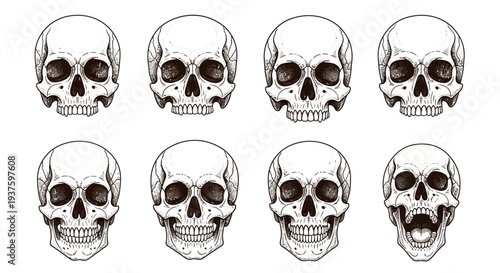 Collection of human skull illustrations in various facial expressions.
