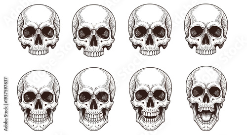 Collection of eight human skull illustrations in various facial expressions.