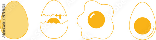 Egg illustration set, cooking stages, whole cracked fried boiled, yolk design, breakfast food, kitchen art, culinary vector, protein icon, meal symbol