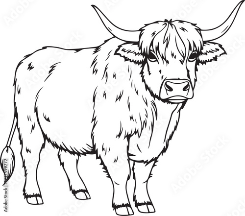 Highland Cow Whole Body Hand-drawn Sketch Drawing Vector Illustration, Line Linear Symbol Black and White Engraving, Isolated
