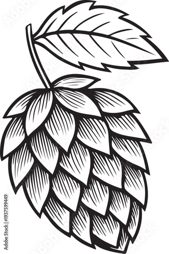 Hop Hand-drawn Sketch Drawing Vector Illustration, Line Linear Symbol Black and White Engraving, Isolated