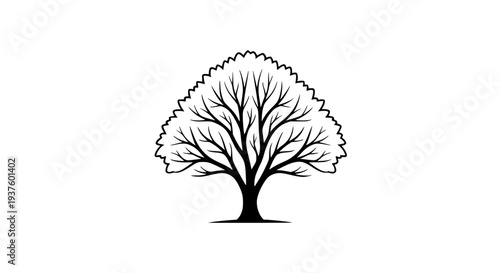 Cute Koala Bear Clinging to Eucalyptus Branch Simple Line Art Illustration Icon on White Background