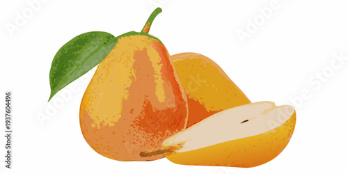 Illustration of a ripe mango with a sliced piece nearby