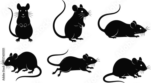 Black rat silhouette set with various mouse poses sitting running and standing for pest control nature wildlife and animal elements.