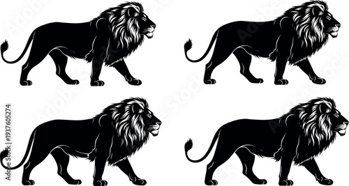 Lion silhouette collection showing powerful wild animal walking poses detailed mane predator symbol of strength wildlife nature vector illustration set