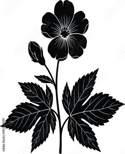 Black silhouette of a flowering plant with five petals, flower bud, and jagged leaves, isolated on white background, floral vector design.
