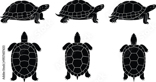 Black silhouette set of turtles and tortoises, side view and top view reptile icons for nature design, isolated vector illustrations.