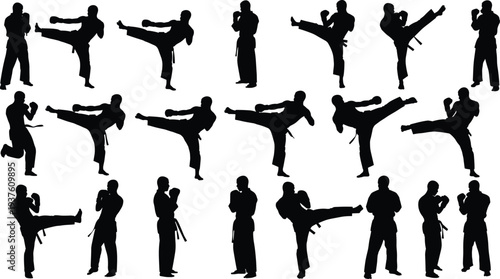 Martial arts silhouettes collection showing karate kick fighting stances combat training poses isolated black vector illustration set for sport design