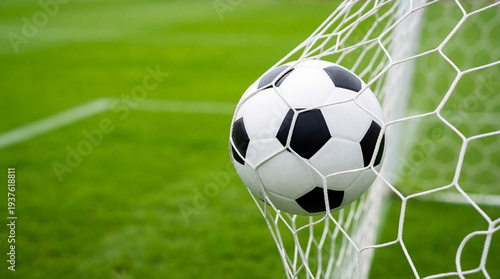 Soccer goal net ball sport stadium grass competition outdoor victory score match team athlete football field game success