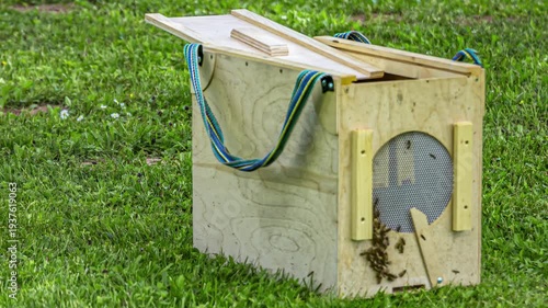 The activity of bees around a beehive in the grass. Time lapse shot.