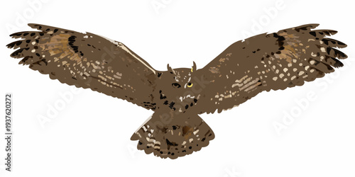 A great horned owl displays its wings in a frontal illustrated view