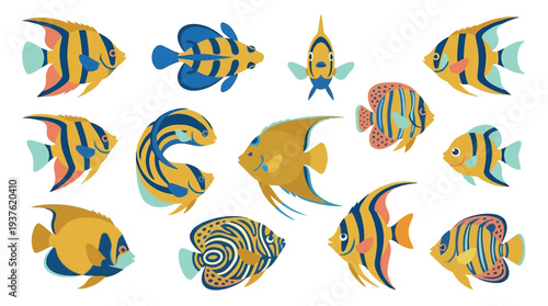 A vibrant collection of colorful angelfish, each with unique patterns and striking blue and yellow stripes, swimming in a clear aquatic environment.