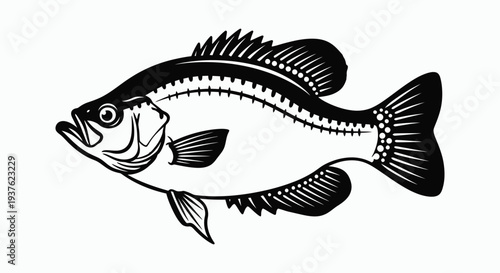 Black and white graphic of a bluegill sunfish freshwater