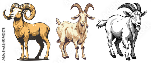 Ram and goat illustration set, Aries zodiac and Chinese zodiac shio, flat vector art.