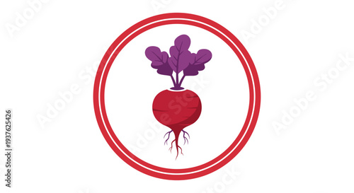 Beetroot Vegetable Illustration in Red Circle.