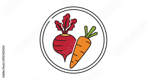 Beetroot and Carrot Illustration in Circle.