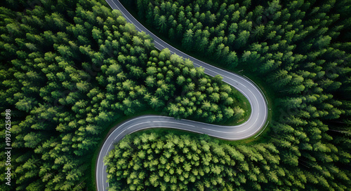 Winding road through dense green forest from above