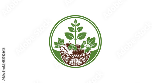 Green Plant Growing in Wicker Basket.