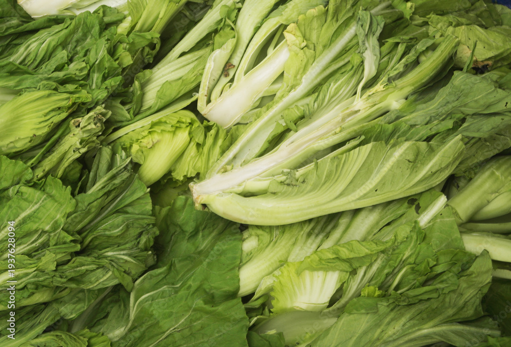 Obraz premium Chinese lettuce vegetables close up 