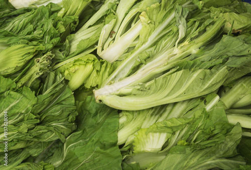 Chinese lettuce vegetables close up	