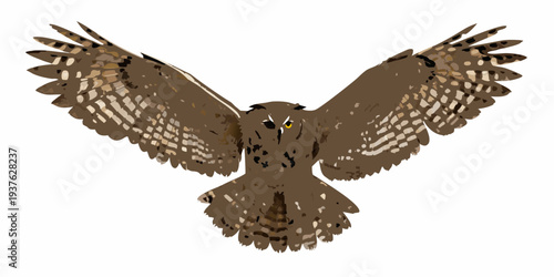 A majestic owl soars with wings fully extended against a white background