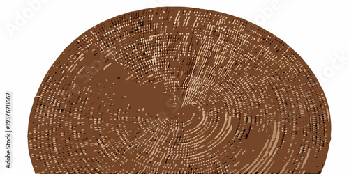 A detailed illustration of a tree trunk cross section with growth rings
