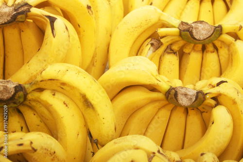 Many ripe yellow bananas as background	