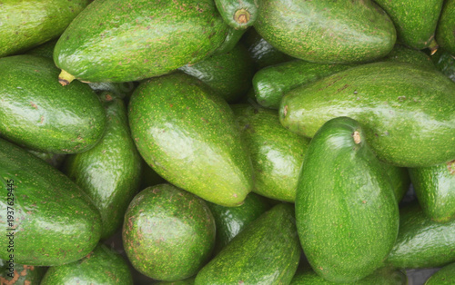Many fresh avocados close up as background