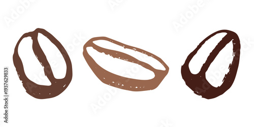 Set of hand drawn fresh roasted coffee bean Arabica robusta seed doodle Single element for design print packaging label decor