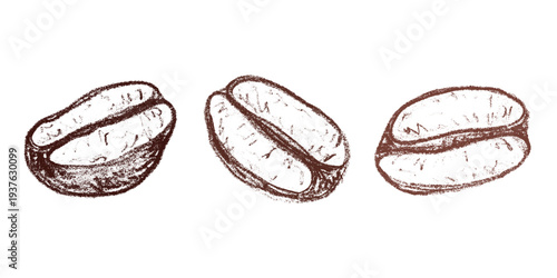 Set of hand drawn fresh roasted coffee bean Arabica robusta seed doodle Single element for design print packaging label decor