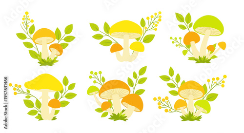 Mushroom Illustrations: Autumn Forest Fungi with Leaves and Berries